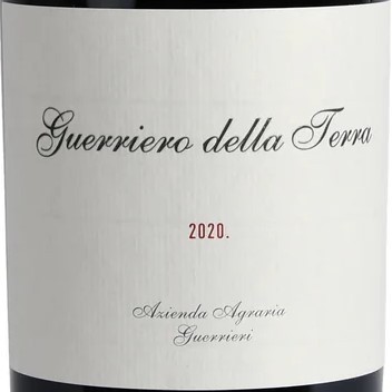 Guerrieri Guerriero della Terra