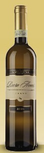Silvestro Parvo Roero Arneis