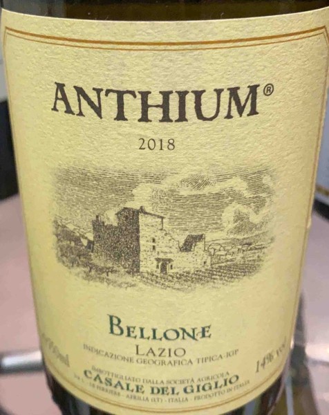 Giglio Anthium Bellone