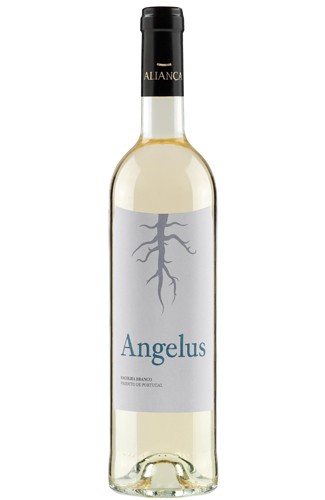 Angelus Escolha Branco